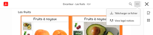 Visualiseur PDF